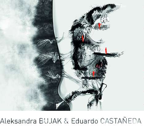 Aleksandra BUJAK & Eduardo CASTAÑEDA, "Cleithrophobia House." Section.