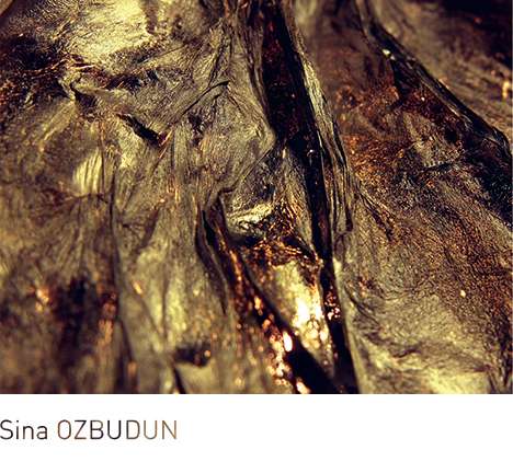Sina OZBUDUN, "Heatscape."