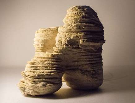 AAVS Jordan 2013, "Desert Ecologies." Co-de-it Group 02.