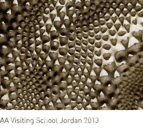 AAVS Jordan 2013, "Desert Ecologies." [uto] Group 01.