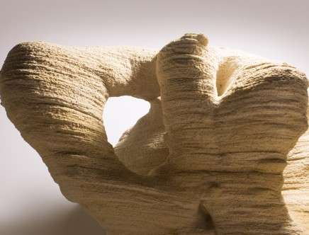AAVS Jordan 2013, "Desert Ecologies." Co-de-it Group 02.