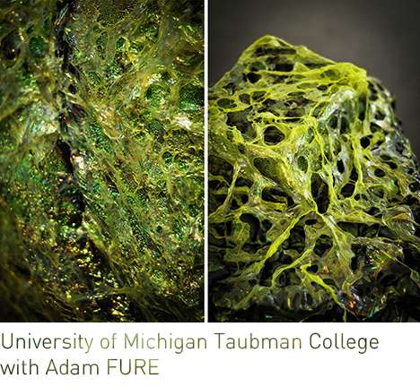 University of Michigan Taubman College with Adam FURE, "Material Worlds: Wrap Dyptich."
