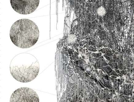 Allen GHAIDA, Carlos GARCÍA FERNÁNDEZ, & Bian LIN, "(n)CAGE(d)." Local geometry.