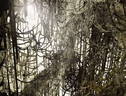 Allen GHAIDA, Carlos GARCÍA FERNÁNDEZ, & Bian LIN, "(n)CAGE(d)." Fragment.