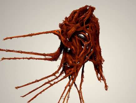 Kokkugia / Roland SNOOKS with Mitchell Lab, "Fibrous House."