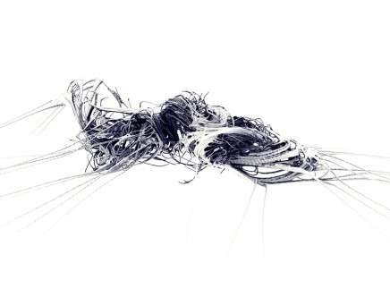 Kokkugia / Roland SNOOKS with Mitchell Lab, "Fibrous House."