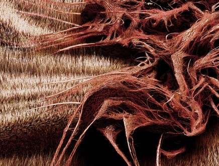 Kokkugia / Roland SNOOKS with Mitchell Lab, "Fibrous House."