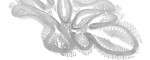 CDR_3_FRONT_small