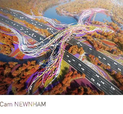 Cam NEWNHAM, "Fibrosity." Bird's-eye perspective.