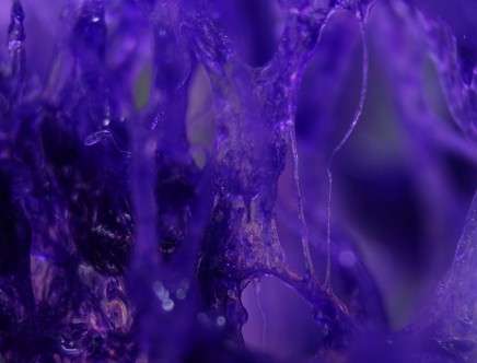 BAILIN & St GERMAIN, MORALES-OLIVARES, "Fluidfab II."