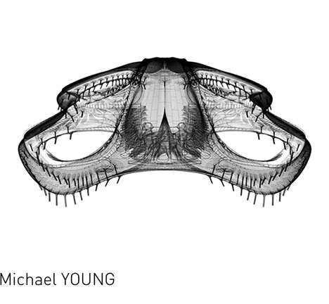 Michael YOUNG.