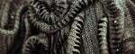 IVH-AW14-Web-6404-LRG_FRONT_small