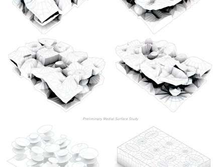 Royce PEREZ & Yufeng ZHENG, "Medial Surface Detailing."
