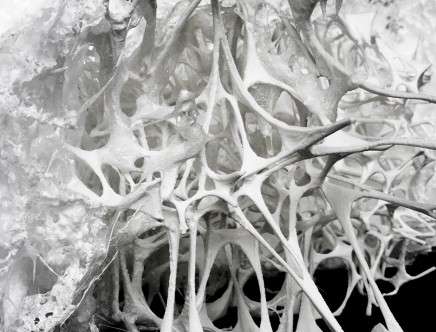 Eleftheria VARDA, "Acid Architecture: Quebec City Ice Museum." Model.