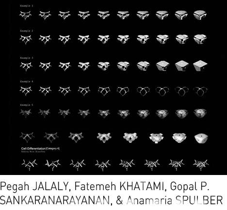 JALALY, KHATAMI, SANKARANARAYANAN, & SPULBER, "Mind the Gap."