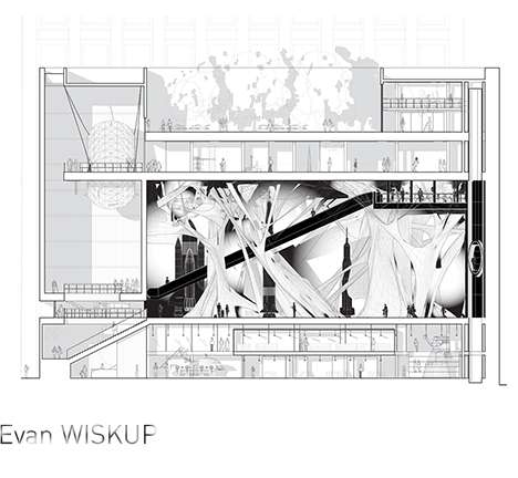 Evan WISKUP, "Foreign/Endemic." Section.