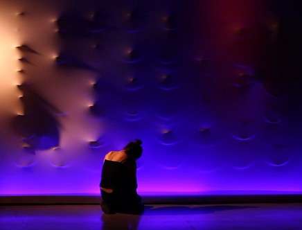 Behnaz FARAHI, "The Living, Breathing Wall." Detail.