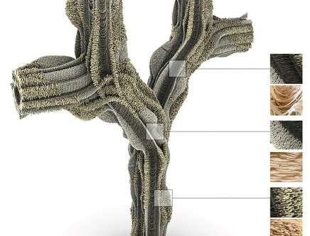 CHRISTOU, DIERCKX, NOVELO PASTRANA, & PAPIC, "Robofoam."