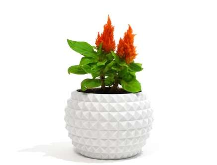 Simplus Design, "Simplus Design Planter."