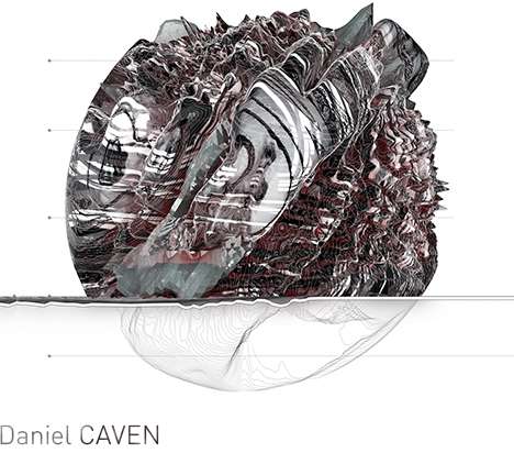 Daniel CAVEN, "Multifarious Formations." Elevation.