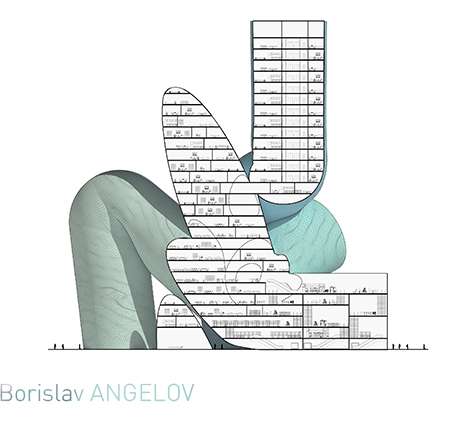 Borislav ANGELOV, "Wacky Motions." Sections.