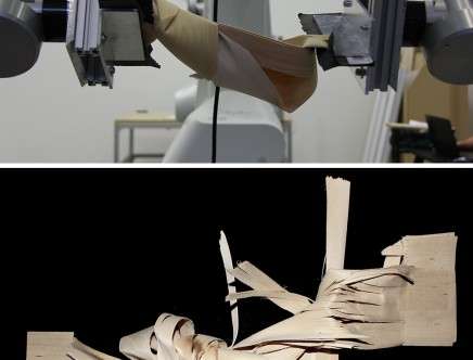 Austin SAMSON, "Non-Axisymmetric Disruptions." Wood bending.