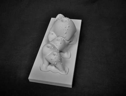 Emily HAYDEN & Robert MOSBY, "Snuggle." Model.