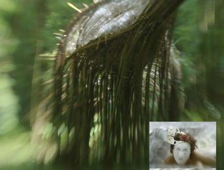 "Feral Child."