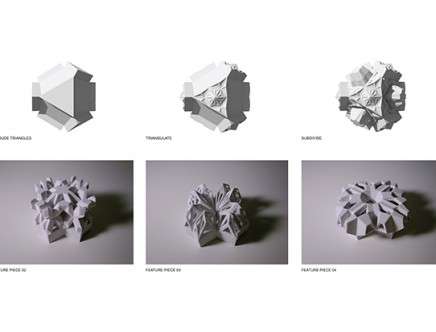 BAI, CHEN, SARAFIAN, WHITHAM, YU, & ZENG, "Inverted Geode." Evolution diagram.