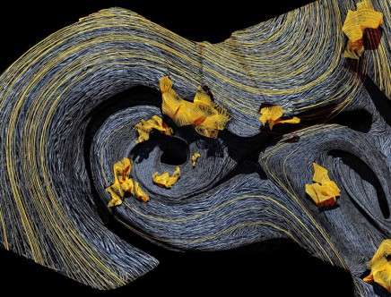 Texas A&M Univeristy, "Poro-Eco-Logics: The Raw and the Synthetic." Field of Objects.
