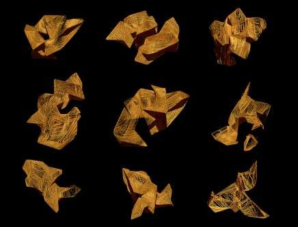 Ricardo GONZALEZ, Steven HEWETT, & Belinda WOOD, "Field of Objects." Taxonomy, exhausted.