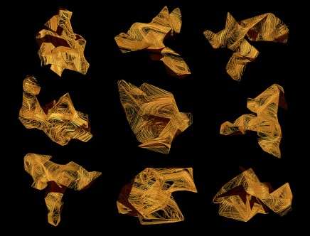 Ricardo GONZALEZ, Steven HEWETT, & Belinda WOOD, "Field of Objects." Taxonomy, influx object.