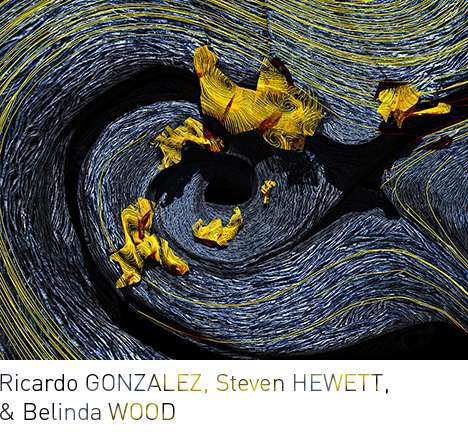 Ricardo GONZALEZ, Steven HEWETT, & Belinda WOOD, "Field of Objects."