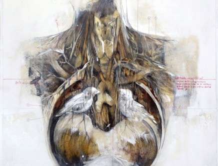 Nunzio PACI, "Cage."