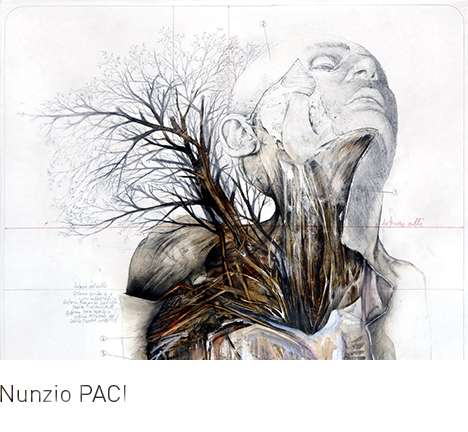 Nunzio PACI, "Root."