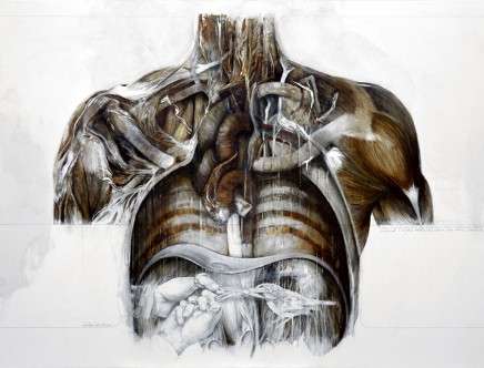 Nunzio PACI, "The Moment of Separation."
