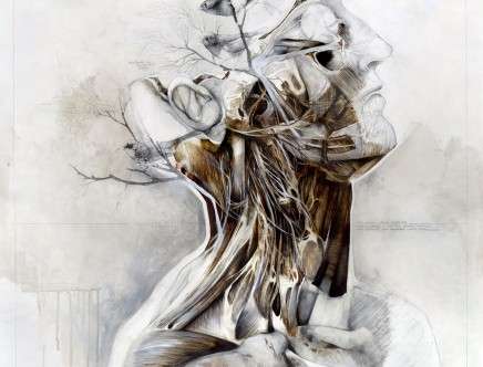 Nunzio PACI, "The Wind that Sculpts your Veins."