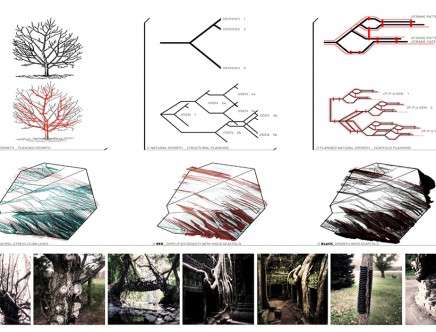 Daniel CAVEN, "7004 house." Diagrams.