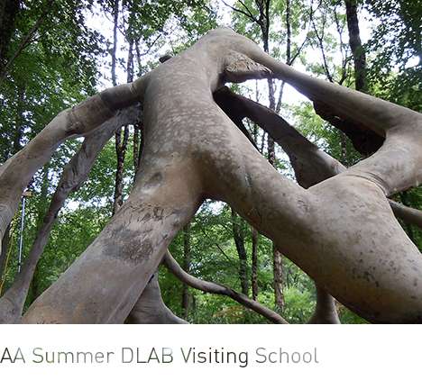AA Summer DLAB Visiting School, "Callipod." 