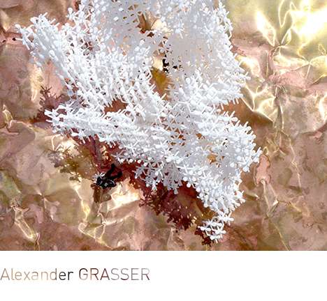Alexander GRASSER, "Fuzzy Cloud." Birds-eye rendering.