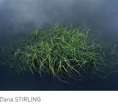 Dana STIRLING, "Float" (2013).