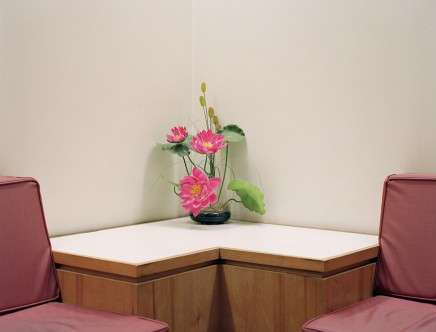 Dana STIRLING, "Plastic Pink" (2013).