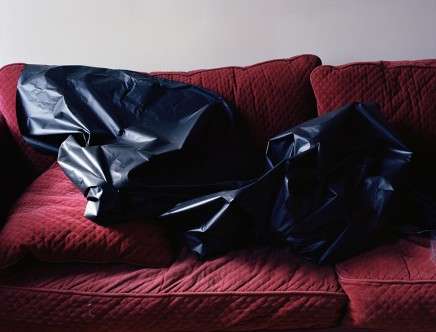Dana STIRLING, "Red" (2013).