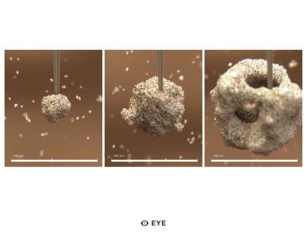 Filippo NASSETTI & Alessandro ZOMPARELLI, "EYE."