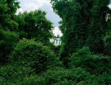 Yoav FRIEDLÄNDER, "A Form Of View."