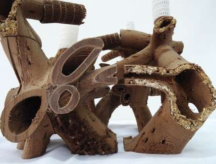 Natalie ALIMA, "Bio Scaffold: The Architecture of Decay." Model.