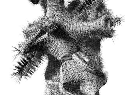 Natalie ALIMA, "Bio Scaffold: The Architecture of Decay." Rendering.