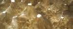 12-AAVSDXB2.0_ AP_Final-Exhbition_Riyad Joucka_small