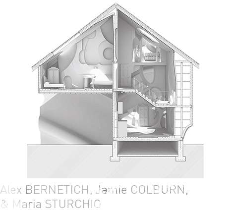 Alex BERNETICH, Jamie COLBURN, & Maria STURCHIO, "WALLFLOWERS." Smoke Detector House, plan; section.