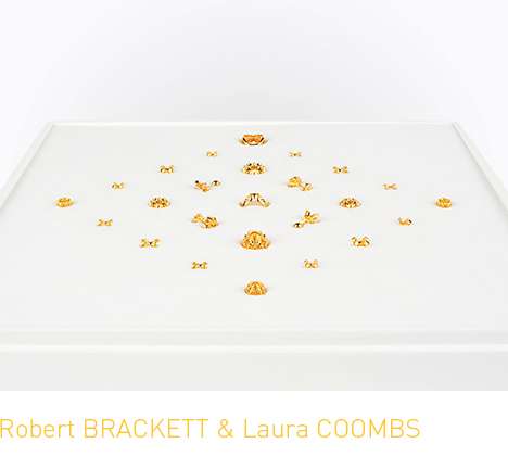 Robert BRACKETT & Laura COOMBS, "ARNICA, collection I."